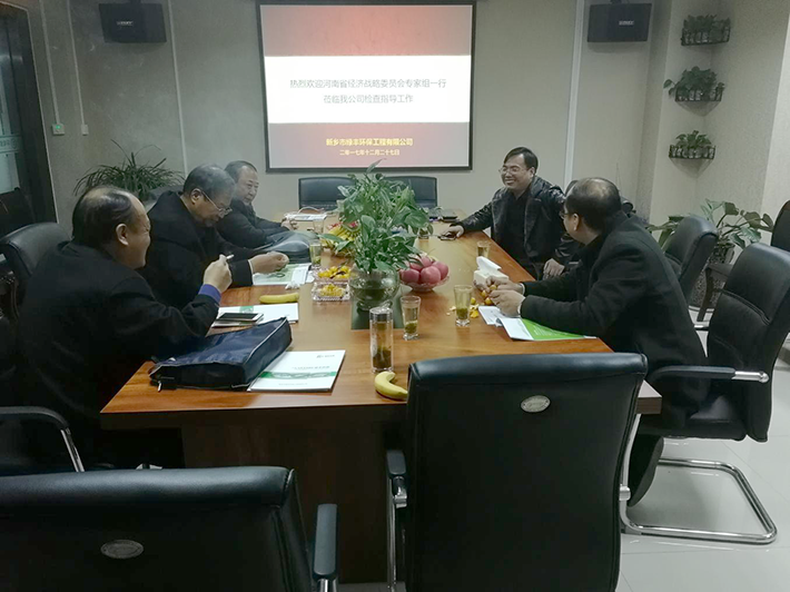 河南省經濟戰(zhàn)略委員會專家組蒞臨綠豐環(huán)保檢查指導工作